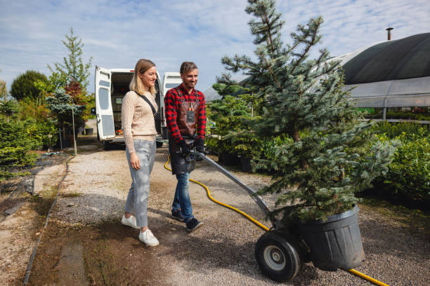 Hayden, ID Tree Services Company